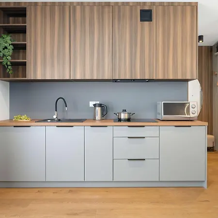 Apartment Modern In Downtown With Balcony By Renters *