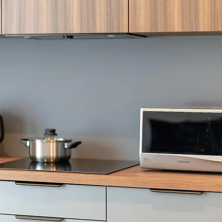 Modern In Downtown With Balcony By Renters Posen